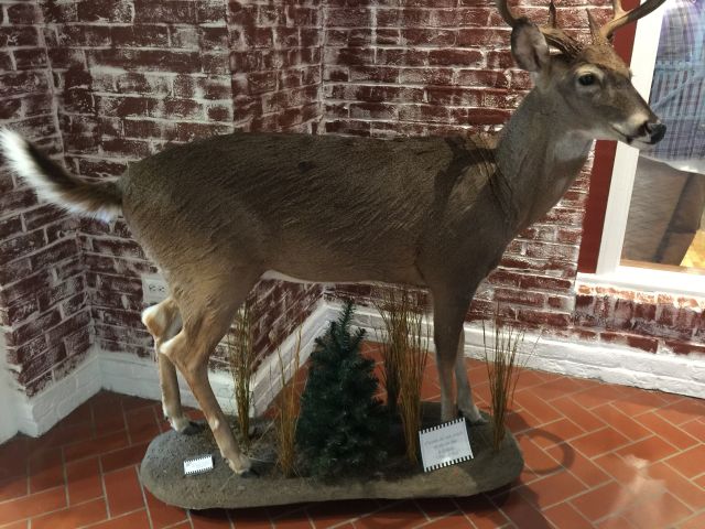 WVGreenbrier