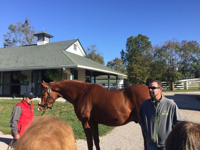KYKeeneland