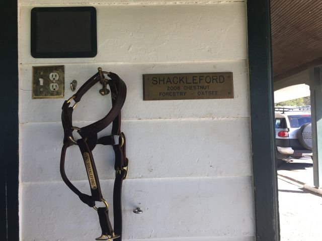 KYKeeneland