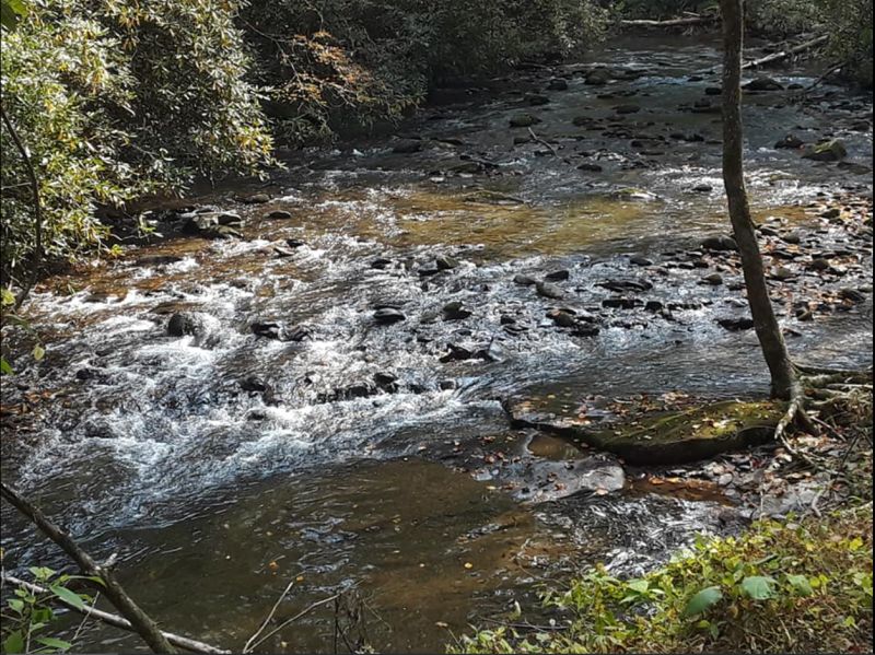 TNCopperhill,CherokeeNationalForest,water