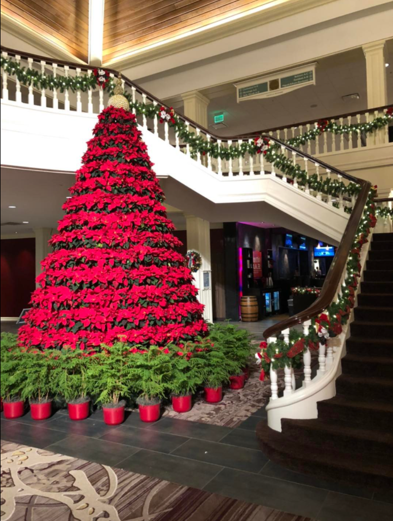 _OprylandHotel-ChristmasTree-indoor(Poinsetta)