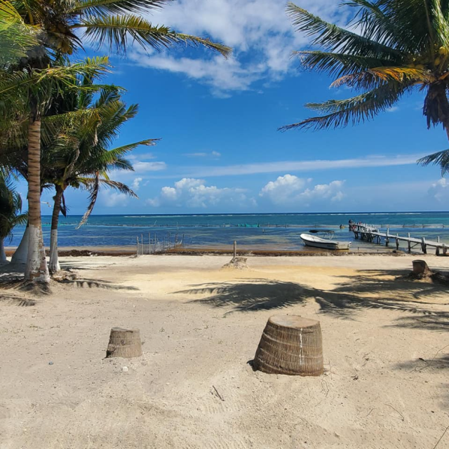 _2022-03-16_1500_Mexico,CostaMaya_woodenDock