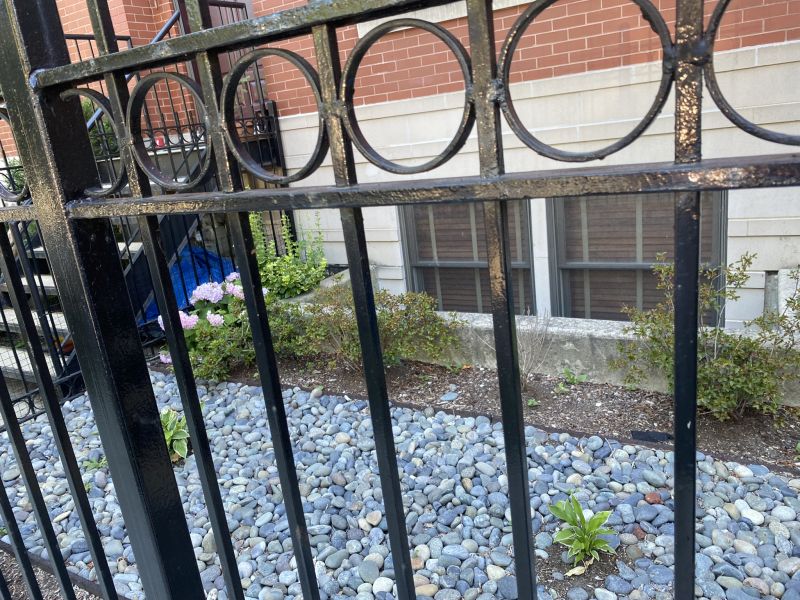 2022-07-10_ILChi,St_neighbor-front-plants2a