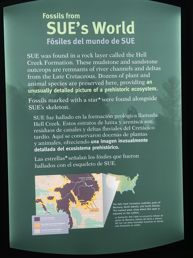 2022-07-19_ILChi,SecondFloor,FieldMuseum-Dinosaur-Sue-exhibit1