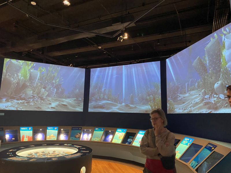 2022-07-19_ILChi,SecondFloor,FieldMuseum-Evolving-Planet_Display-room