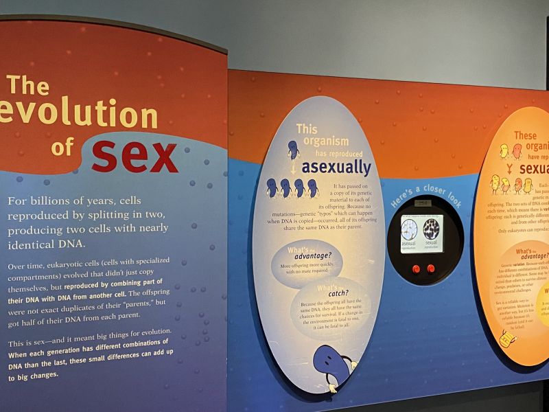2022-07-19_ILChi,SecondFloor,FieldMuseum-Evolving-Planet_the-evolution-of-sex