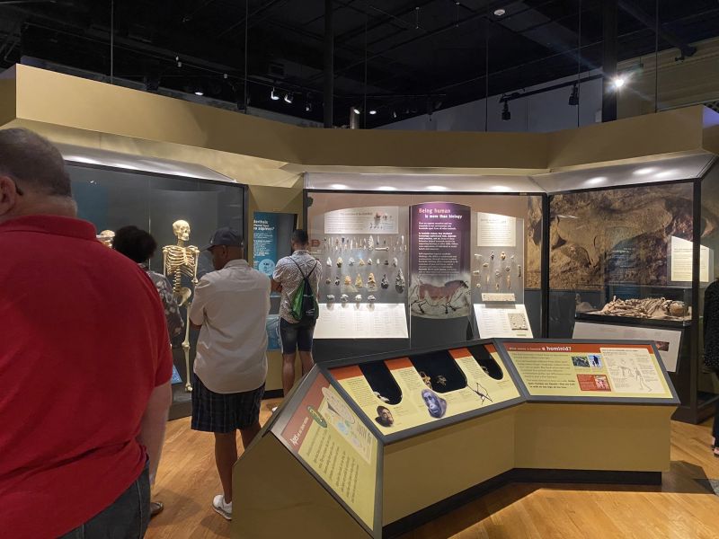 2022-07-19_ILChi,SecondFloor,FieldMuseum-Human-exhibit