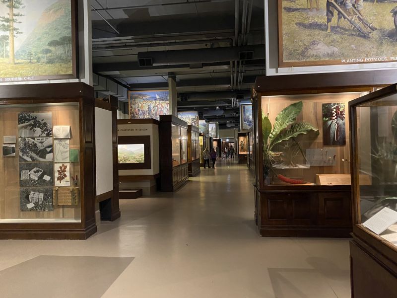 2022-07-19_ILChi,SecondFloor,FieldMuseum-plants-hall