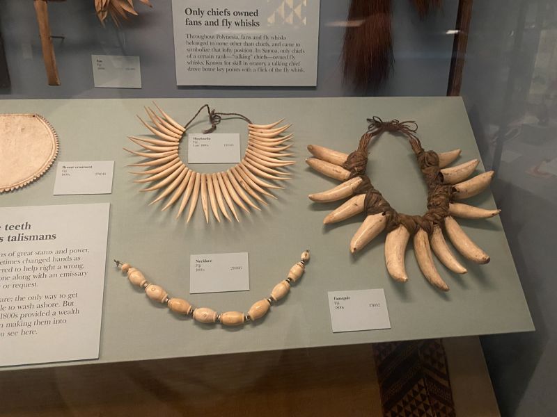 2022-07-19_ILChi,SecondFloor,FieldMuseum_Micronesia_necklace-of-bones