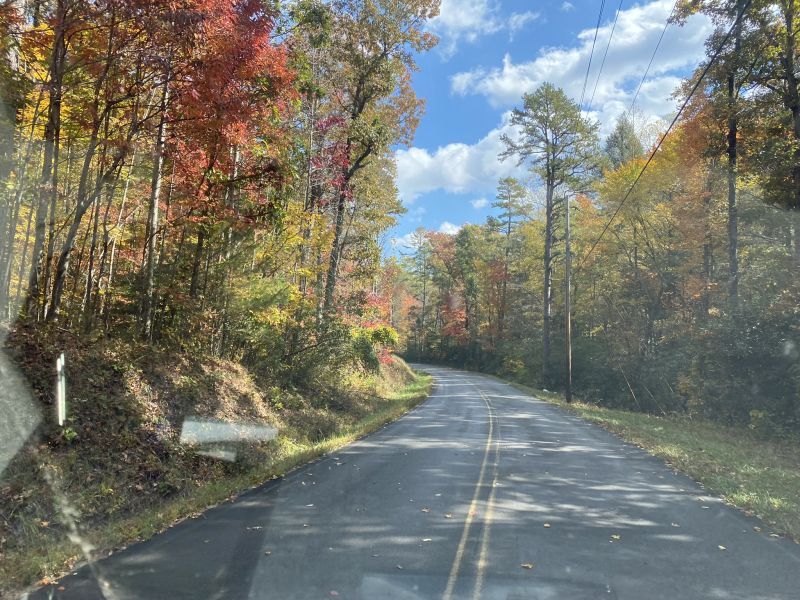 2022-10-17_TNCopperhill,_beautiful-fall-trees