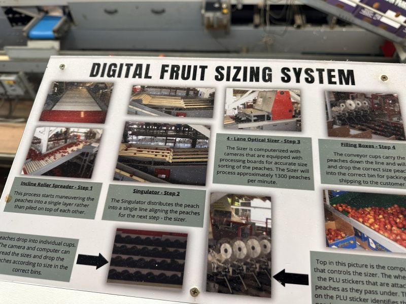 GAMuscella,DickeyFarms-DigitalSorting