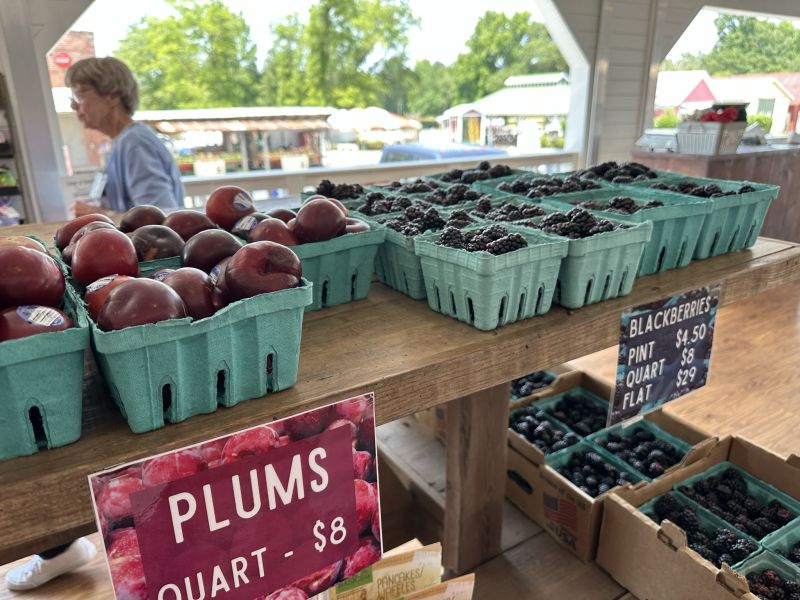 GAMuscella,DickeyFarms-Plums