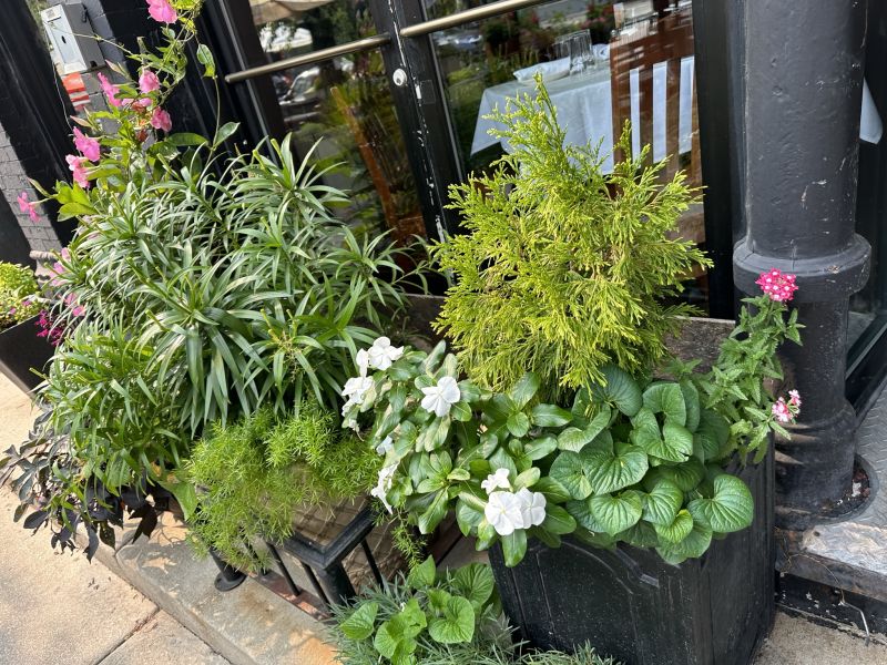 ILChi,WickerPark_nearby-Sidewalk-Restaurants2