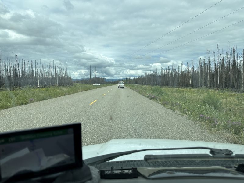BCPellyCrossing_Notice-forest-fire-trees