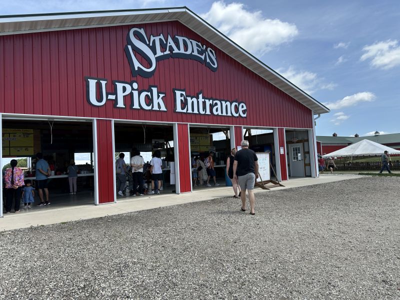 2025-06-28_ILMcHenry,Stade.'s_Pick-it-Yourself_