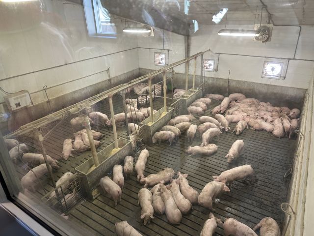 2025-09-14_INNewtonCounty,FairOaksFarms