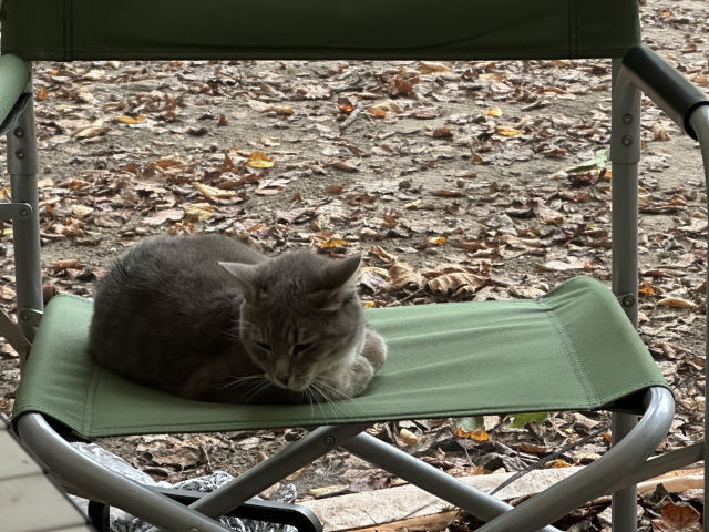 2025-10-09_TNCopperhill_CampCat