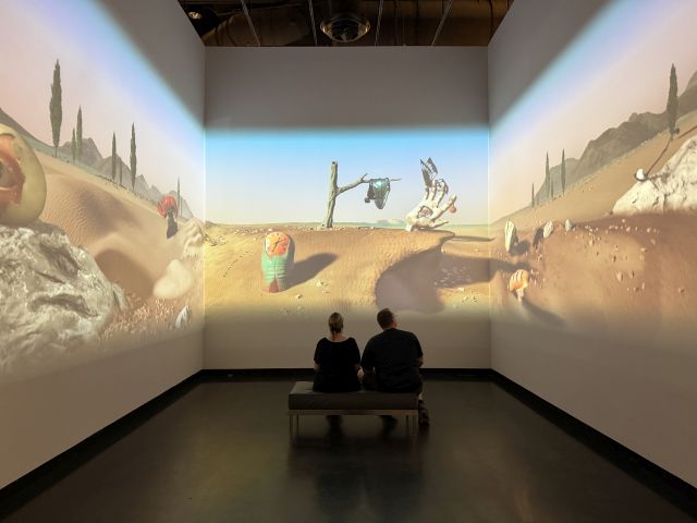 2026-01-13_FLStPetersburg,DaliMuseum-Sound-and-pictures