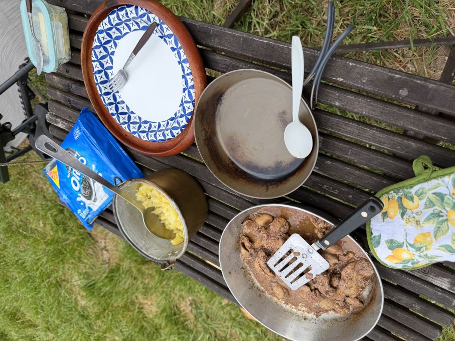 2026-04-16_ALStephenson_ChickenLivers-and-rice