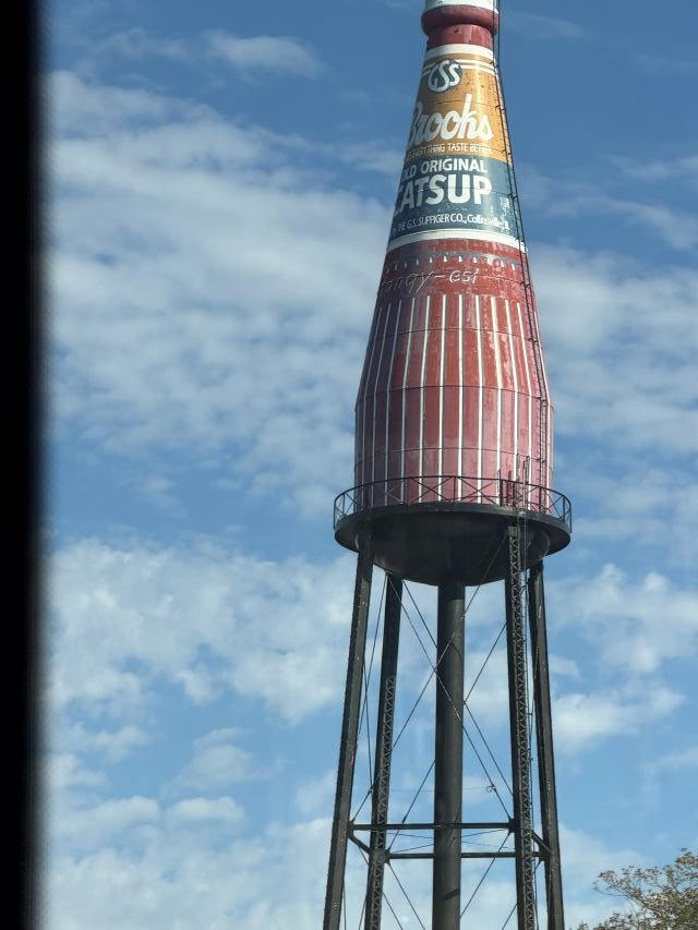 ILCollinsville_KetchupBottle-WaterTower