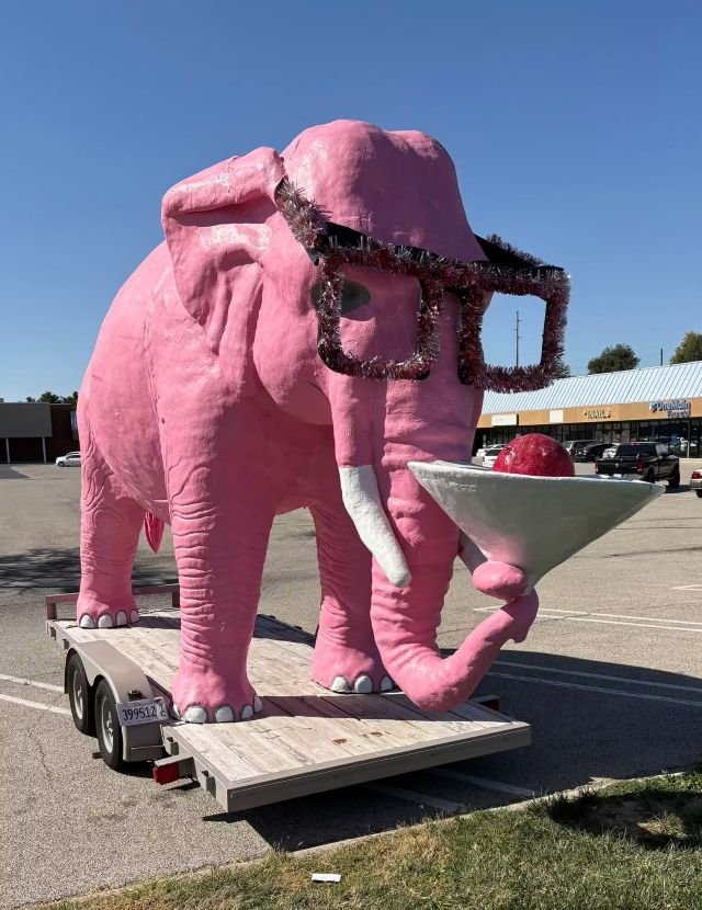 OKOklahomaCity_PinkElephant-with-martini-in-trunk